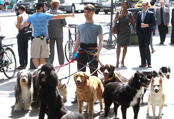 Daniel Radcliffe promènent des chiens sur le tournage de Trainwreck à Bryant Park, New York, le 30 juin 2014