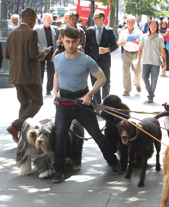Daniel Radcliffe promènent des chiens sur le tournage de Trainwreck à Bryant Park, New York, le 30 juin 2014