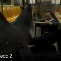 Sharknado 2 : Ian Ziering ridicule contre un requin dans un premier extrait