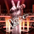 The Voice Kids, bientôt sur TF1 !