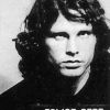 Mugshot de Jim Morrison lors de son arrestation en 1967.