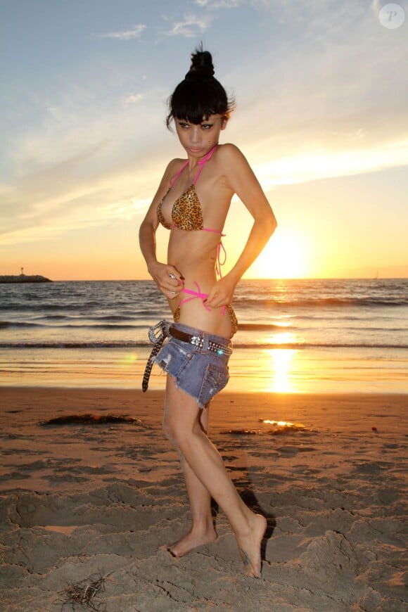 Bai Ling, en bikini léopard, enchaîne les poses lors d'un shooting sur une plage de Marina Del Rey, Los Angeles. Le 25 août 2014.