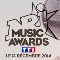16e NRJ Music Awards : Jackpot pour Pharrell Williams, Ariana Grande et Stromae