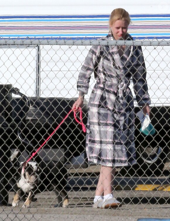 Exclusif - Iggy Azalea promène son chien à Santa Monica, le 8 octobre 2014. 