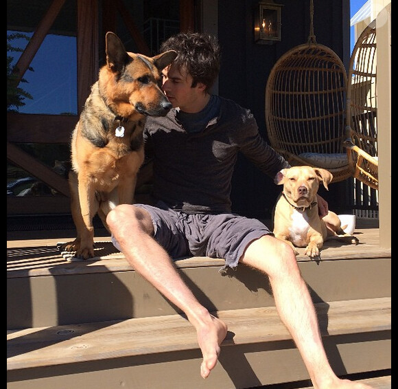 Ian Somerhalder, gaga de ses deux toutous Enzo et Ira sur Instagram, le 30 octobre 2014.