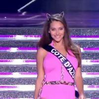 Miss France 2015 : Les 12 demi-finalistes, défilé en ''Panthère rose'' sexy !