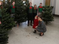 Princesse Estelle: Petite reine de Noël, elle reçoit le roi des forêts au palais