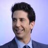 David Schwimmer lors de la première du film Madagascar 3 le 7 juin 2012.