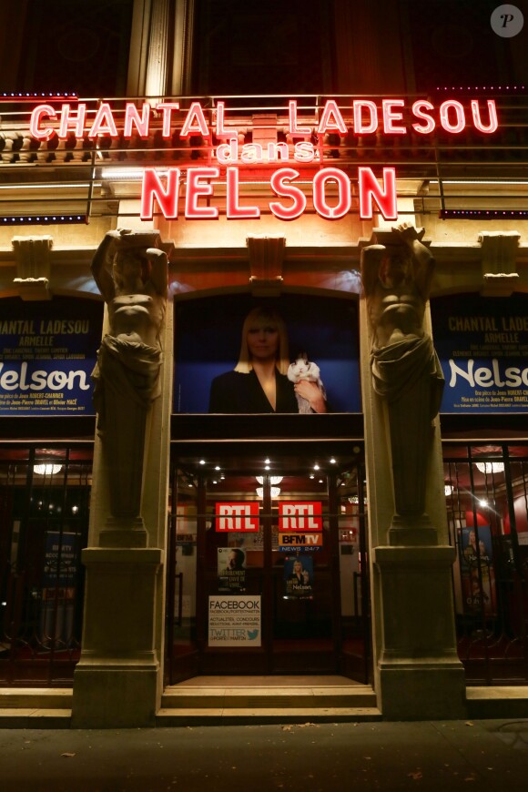 Générale de la pièce "Nelson" au Théâtre de la porte Saint Martin à Paris le 12 septembre 2014