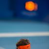 Rafael Nadal lors de sa défaite face à Andy Murray lors d'un tournoi d'exhibition à Abu Dhabi, le 2 janvier 2015
