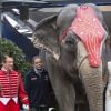 La princesse Stéphanie de Monaco a, comme chaque année, posé avant l'ouverture du 39e Festival International du Cirque de Monte-Carlo, entourée d'artistes et de son animal préféré, l'éléphant, à Monaco le 13 janvier 2015.