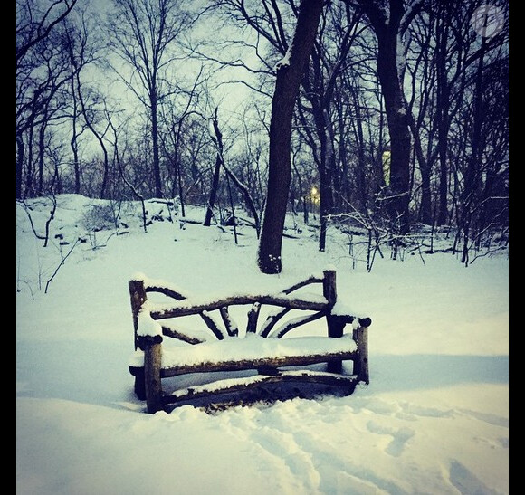 Kelly Ripa s'émerveille devant la neige à Central Park, New York, le 26 janvier 2015.