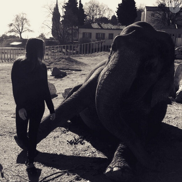 Pauline Ducruet avec Nepal, une des deux éléphantes recueillies par sa mère la princesse Stéphanie de Monaco au domaine de Fonbonne. Photo publiée sur son compte Instagram le 22 février 2015.