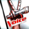 Bande-annonce de  The Voice 4  - épisode du samedi 14 mars 2015.