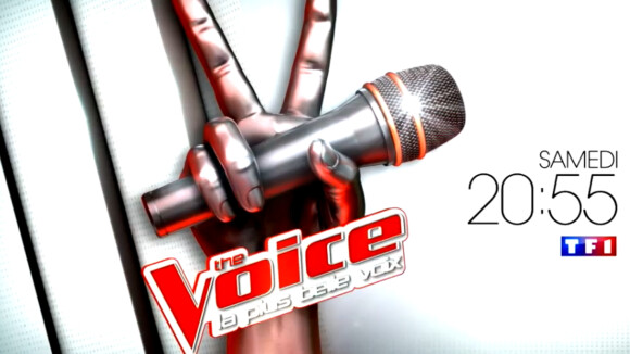 The Voice 4 : Nehuda, Neeskens, Tom, Camille Lellouche... Qui sera qualifié ?