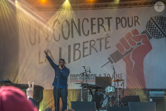 Sly Johnson - Reporters Sans Frontières (RSF) organise pour ses 30 ans "Un concert pour la liberté" pour célébrer la Journée Mondiale de Liberté de la Presse sur la place de la République à Paris, le 3 mai 2015.