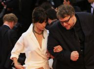 Sophie Marceau et Cannes: Entre glamour et dérapages... Une drôle de love story
