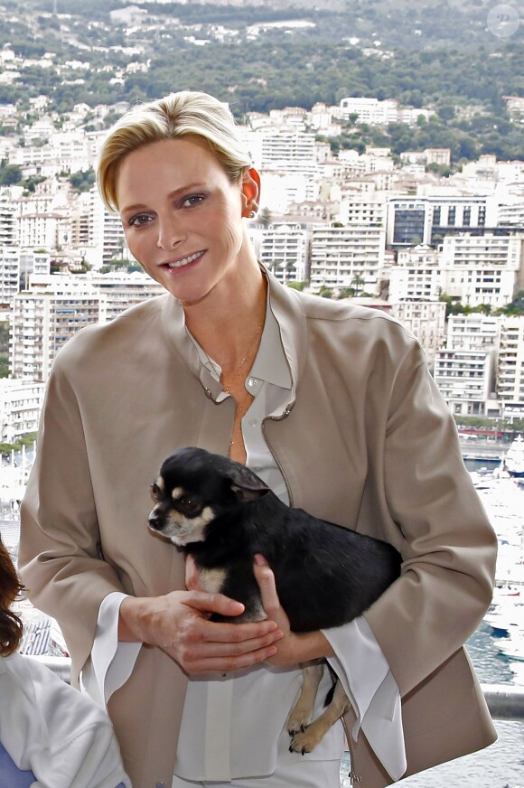 La princesse Charlene de Monaco accompagnée de son petit chien Monte, lors de sa visite aux spectateurs de la tribune de l'association monégasque des handicapés moteur, lors des essais du Grand Prix de Monaco le 23 mai 2015