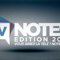 Cyril Hanouna, Alessandra Sublet, Karine Le Marchand : Favoris des TV Notes 2015