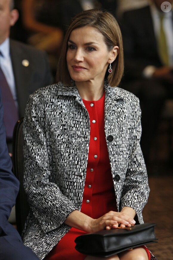La reine Letizia d'Espagne a rencontré les membres de l'Alliance ibéro-amércaine pour les maladies rares lors d'une conférence à Mexico. Le 30 juin 2015 