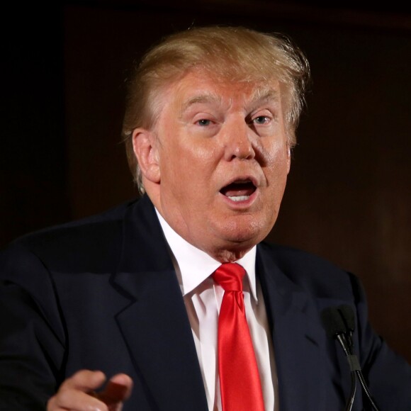 Donald Trump à Chicago, le 29 juin 2015.