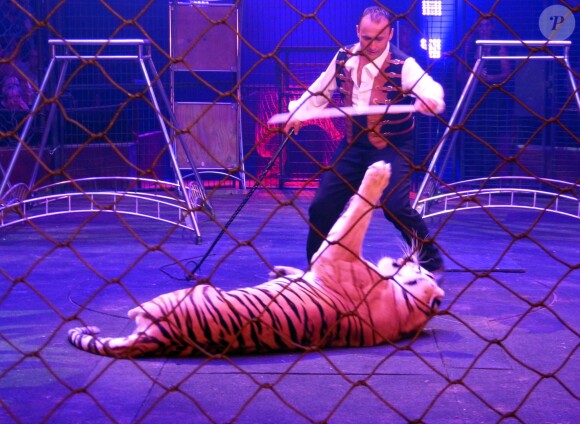 Exclusif - Emmanuel Farina avec un tigre sur scène lors du spectacle Ecris l'histoire à l’occasion des 30 ans du cirque Arlette Gruss à Gassin, le 15 juillet 2015.