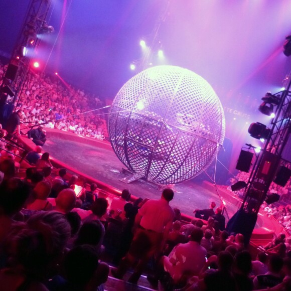 Exclusif - Illustration du spectacle Ecris l'histoire à l’occasion des 30 ans du cirque Arlette Gruss à Gassin, le 15 juillet 2015.