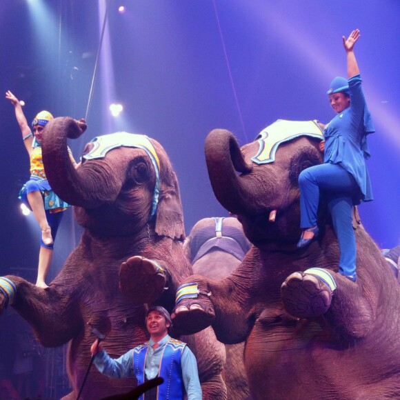 Exclusif - Illustration du spectacle Ecris l'histoire à l’occasion des 30 ans du cirque Arlette Gruss à Gassin, le 15 juillet 2015.