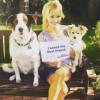 Charlotte Ross et ses deux chiens sur Instagram / juin 2015