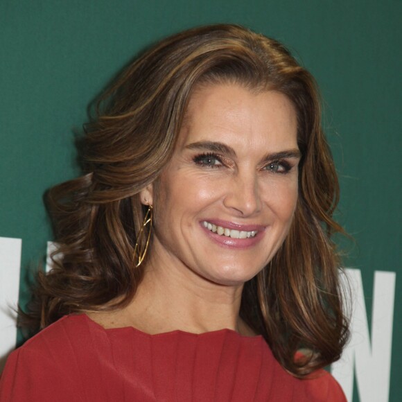 Brooke Shields dédicace son livre "There Was A Little Girl" chez Barnes & Noble à New York, le 18 novembre 2014.