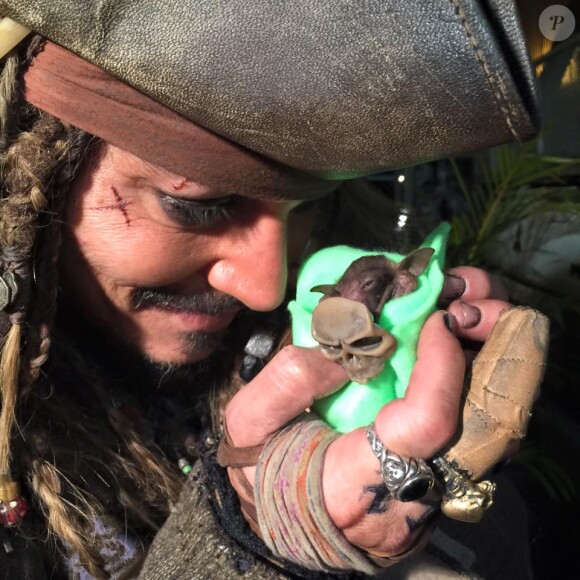 Johnny Depp parrain d'un bébé chauve-souris prénommée Jackie Sparrow et traitée par l'Australian Bat Clinic & Wildlife Trauma Centre en Australie. (photo postée le 25 juillet 2015)