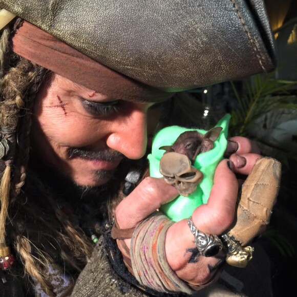 Johnny Depp parrain d'un bébé chauve-souris prénommée Jackie Sparrow et traitée par l'Australian Bat Clinic & Wildlife Trauma Centre en Australie. (photo postée le 25 juillet 2015)