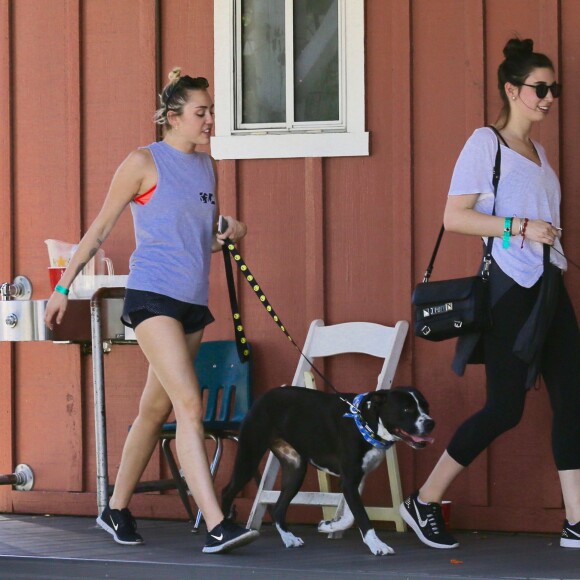 Exclusif - Miley Cyrus se promène avec une amie et leurs chiens respectifs à Calabasas, le 4 août 2015. 