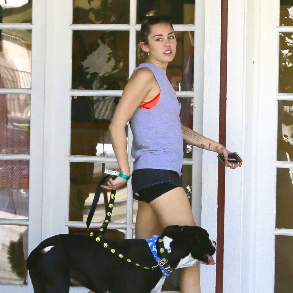 Exclusif - Miley Cyrus se promène avec une amie et leurs chiens respectifs à Calabasas, le 4 août 2015. 