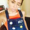 Miley Cyrus a ajouté une photo à son compte Instagram au mois d'août 2015.