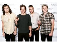 One Direction, la séparation : La mère de Niall confirme !