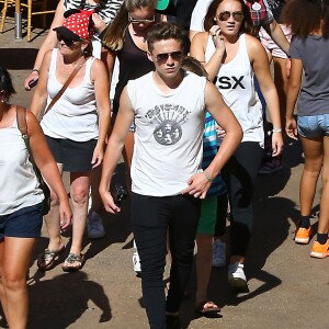 David Beckham, sa femme Victoria Beckham et leurs enfants Harper, Brooklyn, Romeo et Cruz s'amusent lors d'une journée en famille à Disneyland à Anaheim, le 24 août 2015. 