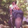 Yoann Huget et son épouse Fanny Veyrac à dos d'éléphant lors de leur voyage de noces en Thaïlande en juillet 2013