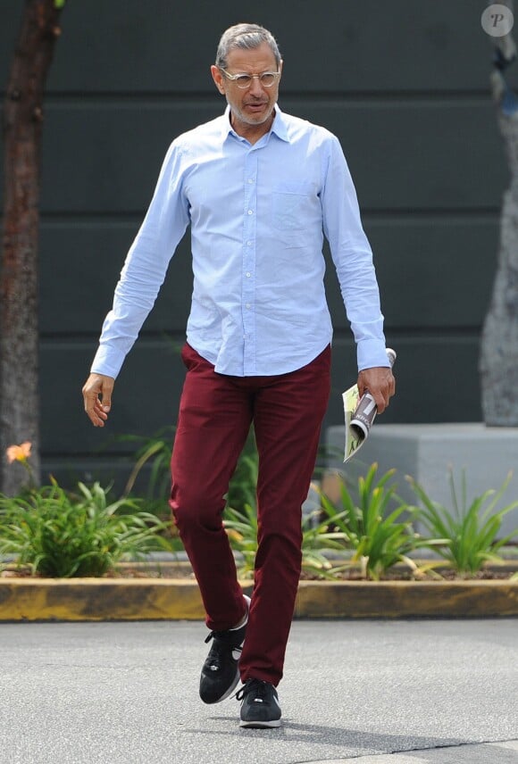 Exclusif - Jeff Goldblum va déjeuner avec un ami à Brentwood, le 26 juin 2014. 