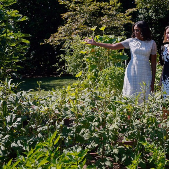 Michelle Obama a fait visiter son potager à Letizia ! Le roi Felipe VI et la reine Letizia d'Espagne étaient reçus par le président Barack Obama et la First Lady Michelle Obama à la Maison Blanche le 15 septembre 2015 dans le cadre de leur visite officielle aux Etats-Unis.