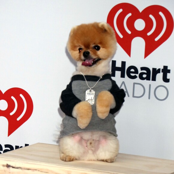 Jiffpom au 1er jour du Festival de musique de iHeartRadio à Las Vegas, le 18 septembre 2015