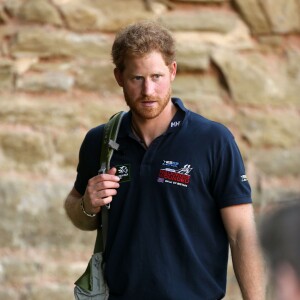 Le prince Harry a fait le 30 septembre 2015 une marche d'une trentaine de kilomètres dans les environs de Shrewsbury avec six blessés de guerre dans le cadre de la Walk of Britain organisée par l'association Walking with the Wounded qu'il parraine.