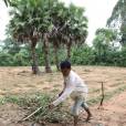 Exclusif - Préparation du lieu de tournage du prochain film de Angelina Jolie "First They Killed My Father" Siem Reap au Cambodge, le 6 novembre 2015. Des ouvriers préparent le terrain en enlevant les serpents et les scorpions, coupent les herbes, construisent des maisons.