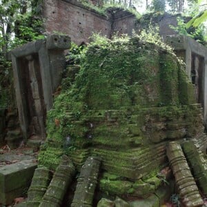 Exclusif - Préparation du lieu de tournage du prochain film de Angelina Jolie "First They Killed My Father" Siem Reap au Cambodge, le 6 novembre 2015. Des ouvriers préparent le terrain en enlevant les serpents et les scorpions, coupent les herbes, construisent des maisons.