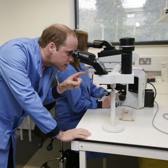 Le prince William en visite à l'hôpital Royal Marsden NHS Foundation Trust à Sutton, le 18 novembre 2015.