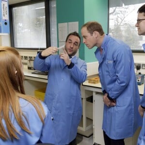 Le prince William en visite à l'hôpital Royal Marsden NHS Foundation Trust à Sutton, le 18 novembre 2015.