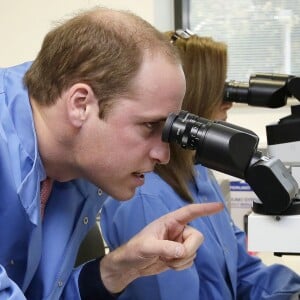 Le prince William en visite à l'hôpital Royal Marsden NHS Foundation Trust à Sutton, le 18 novembre 2015.