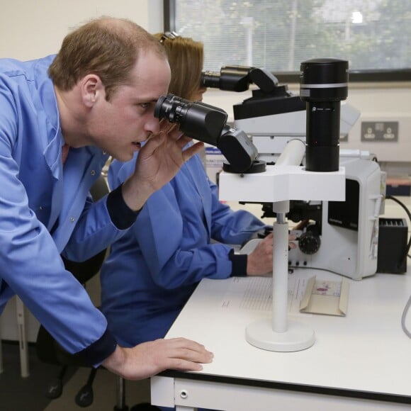 Le prince William en visite à l'hôpital Royal Marsden NHS Foundation Trust à Sutton, le 18 novembre 2015.