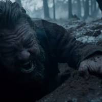 Leonardo DiCaprio violé par un ours ? Drôle de buzz pour "The Revenant"