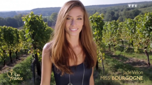 Portrait de Miss Bourgogne, lors de l'élection Miss France 2016 le samedi 19 décembre 2015 sur TF1